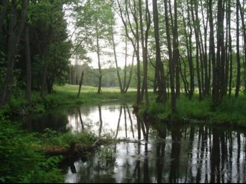 Domek Borsk Extérieur photo